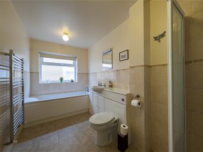 Picture 21